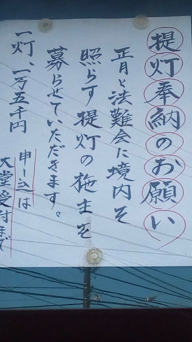 shikikawado's tweet photo. 龍口寺では、お正月と法難会で境内に飾られる献灯提灯の施主をお募りしております。霊跡本山を照らしたい方は是非。お申し込みは龍口寺大堂受付まで！@shonan_ryukoji

片瀬龍口寺 0466-25-7357 https://t.co/R3GmNhIjbE
