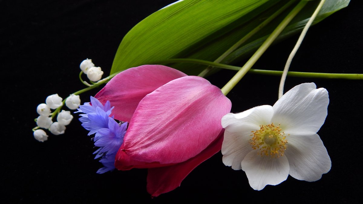 Лечебная музыка Фредерика Шопена 🌺 Спокойствие с Погружением в Легкую Гр... youtu.be/mK9qyohUTc0 через <a href="/YouTube/">YouTube</a>