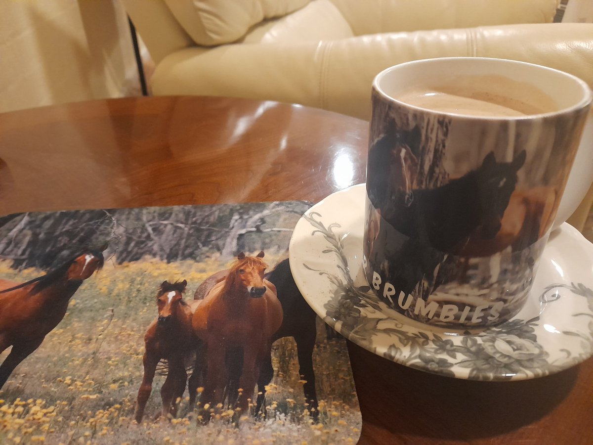 pocket_locket's tweet photo. Finally, time to sit and enjoy Milo in my beautiful brumby mug purchased from Renee. Love the gorgeous mouse mat as well! A big thank-you to Renee 💕. #brumbies #stopthebullets #culture #Wherehaveallthebrumbiesgone https://t.co/QFbeCWoikK