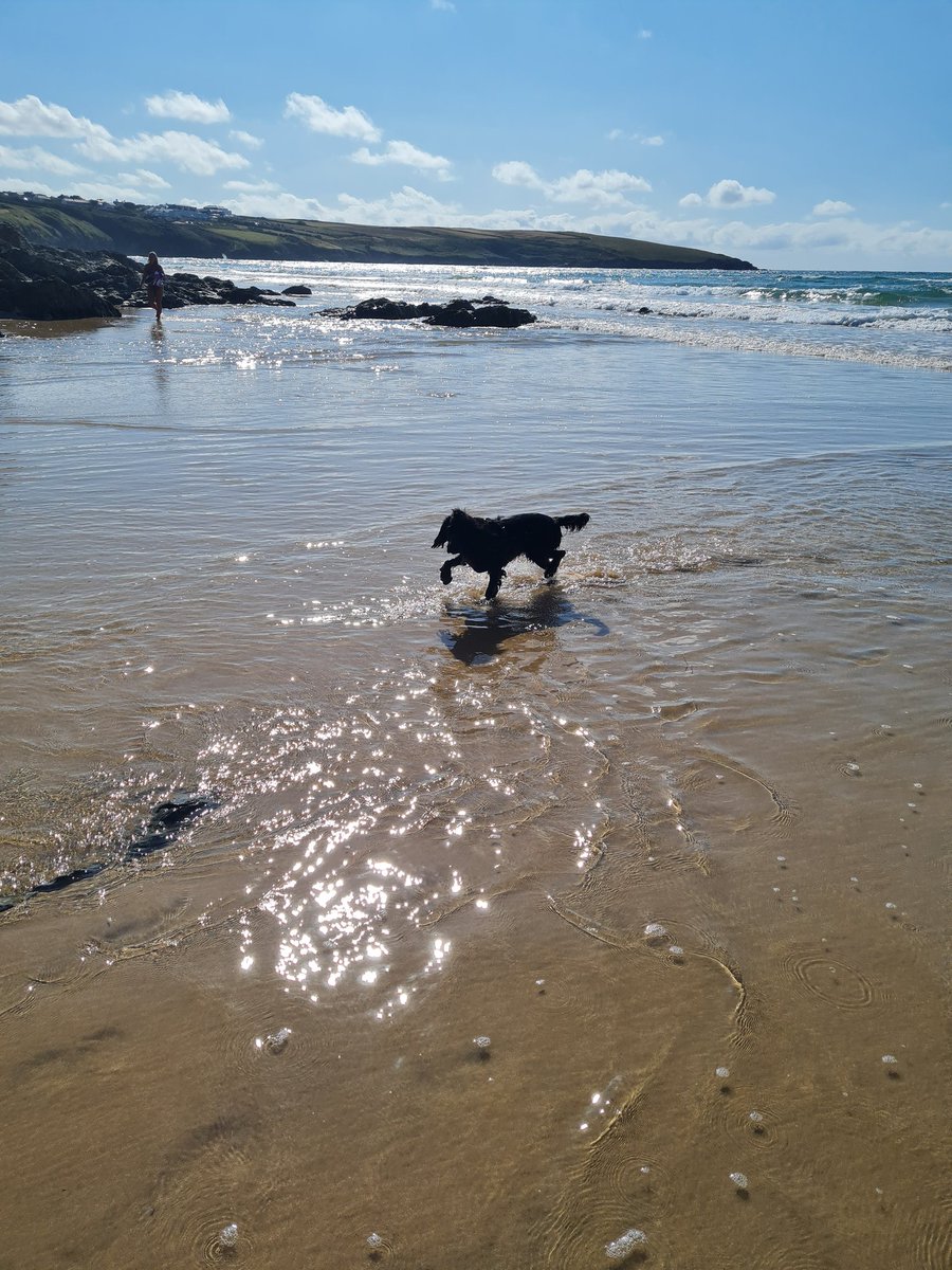 lbubb27's tweet image. Another fab Holiday ☀️☀️☀️ @HendraHolidays hopefully see you next year.....! 😊