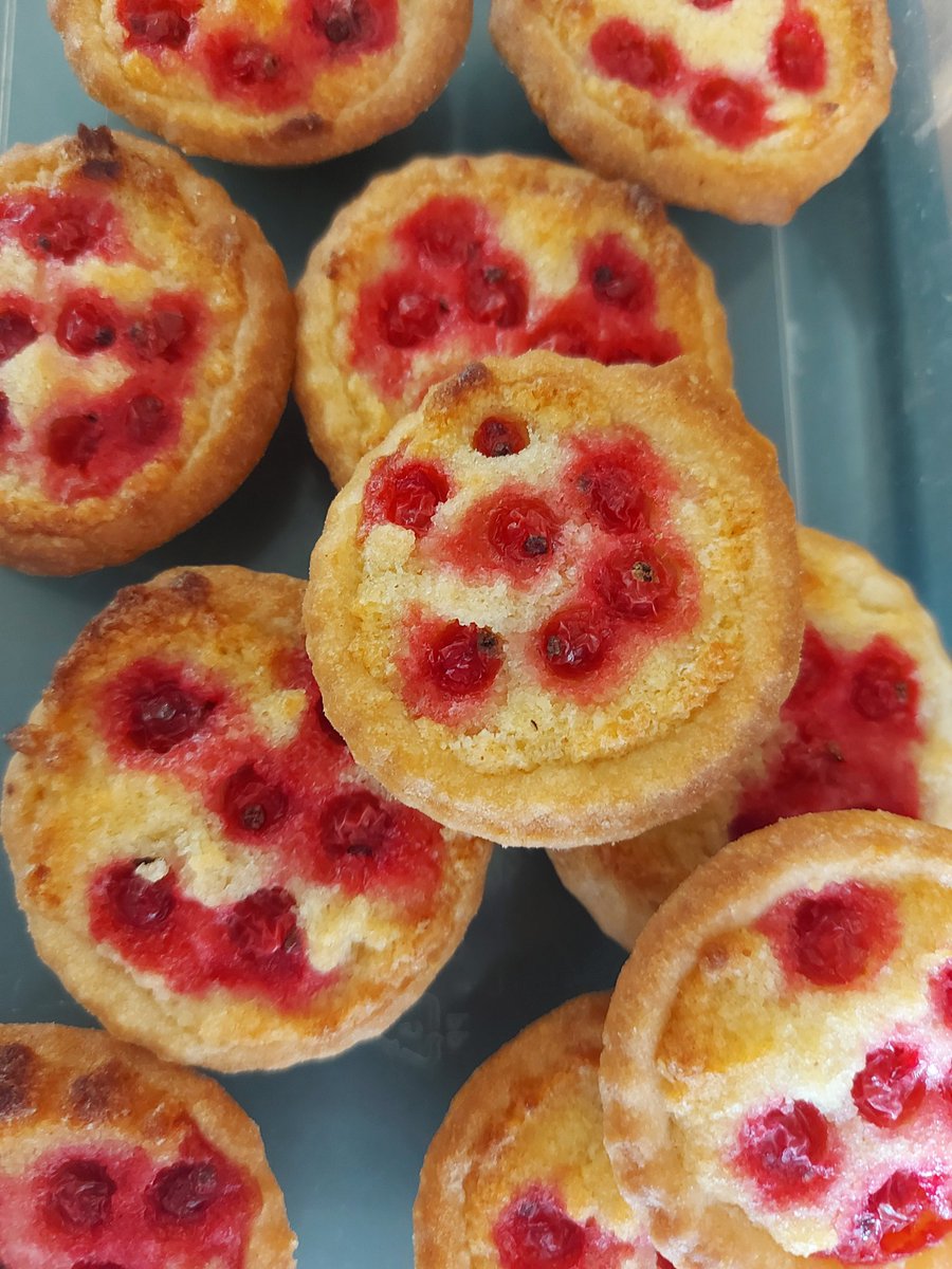 Camdragon's tweet photo. Allotment perks....
Hand my daughter a tub of freshly picked redcurrants, and she produces these:
Swedish Maserands.
#bethbakes https://t.co/auGyZrWSSX