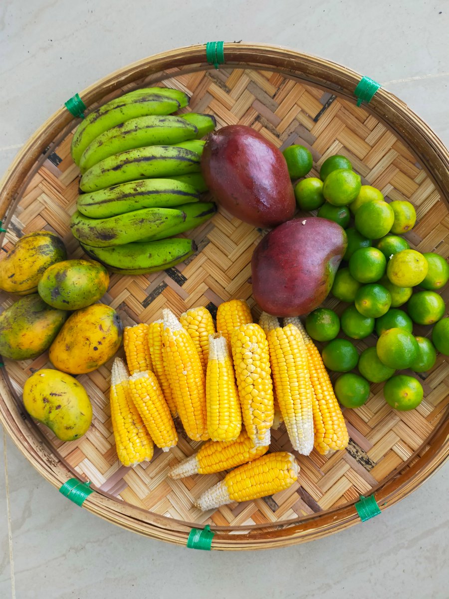 toubuya's tweet photo. Saturday food shop! So many vegetarian dishes can be made out of these! #SaturdayKitchen #SaturdayMotivation #Foodie #eathealthy #feedthefivethousand #HealthyFood https://t.co/I8pfvLDb9C