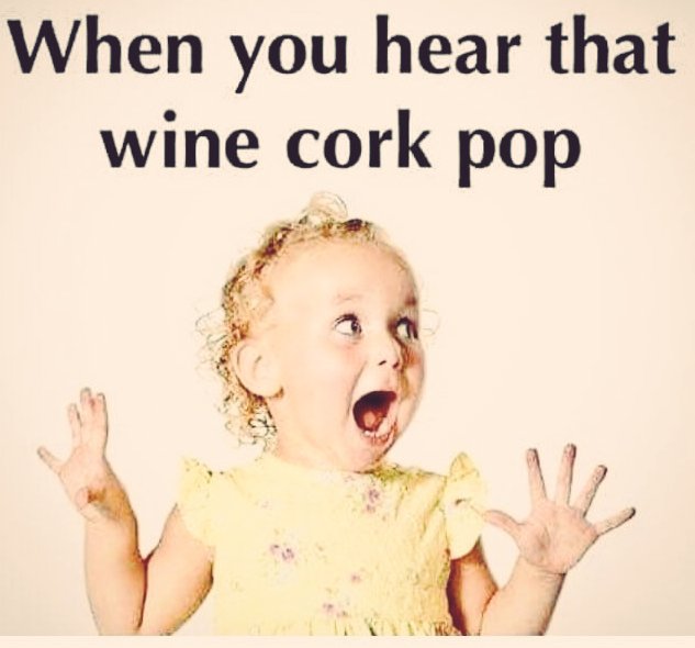 And we're open!
Our #wine bottles are open and ready to pour🍷
We are so excited to welcome you to the 18th Annual #VaalWineExpo!