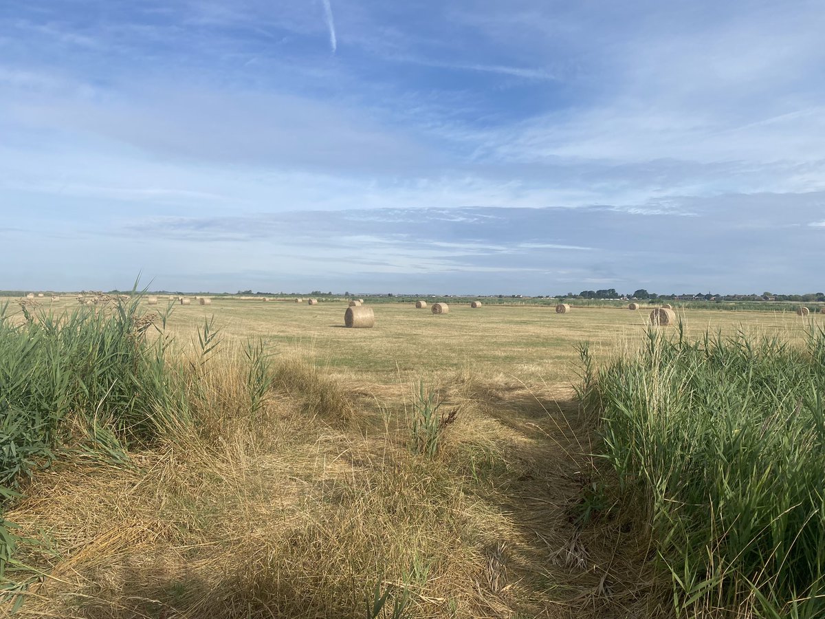 keep1604's tweet image. Nice mooch about this morning