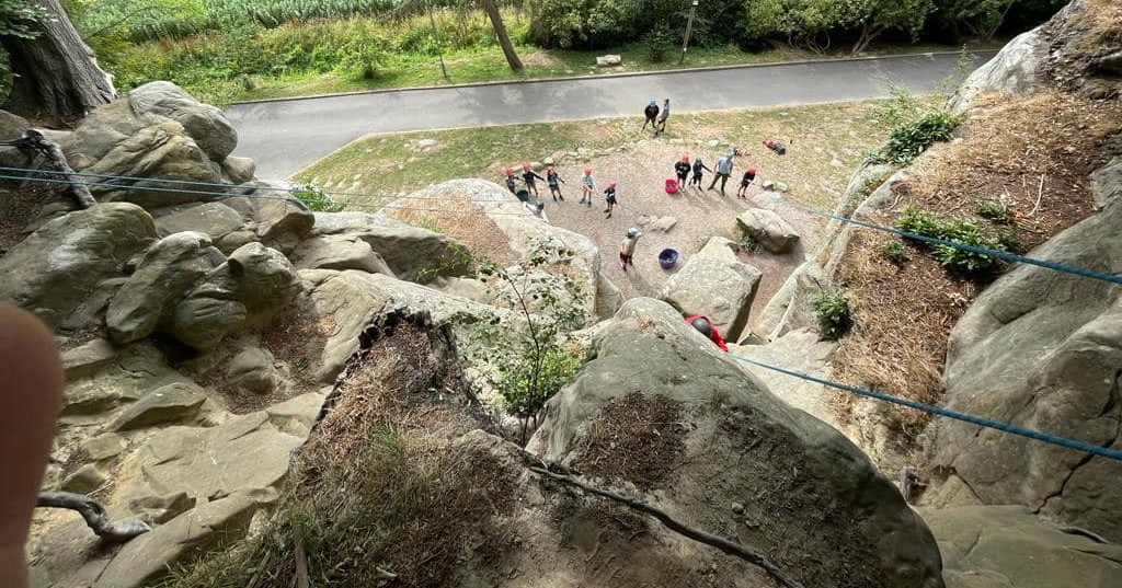 Sutton Scouts tweet media