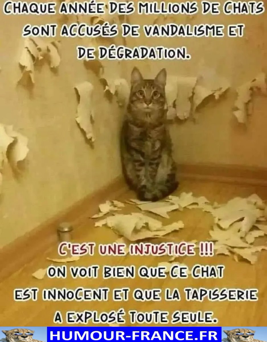HHumourFrance's tweet photo. Humour-France : https://t.co/hT4KBxNkdz

Boutique : https://t.co/PyvZpZatsR

CHAINE YOUTUBE Humour-France : https://t.co/sPYQdqpV94

#observateur #souris #fou #ptdr #mdr #divertissement #frenchhumour #jpp #comique #drôle #drole #marrant #ptdrr #humour #blagues #blague #fourires https://t.co/u85KwmUbGn