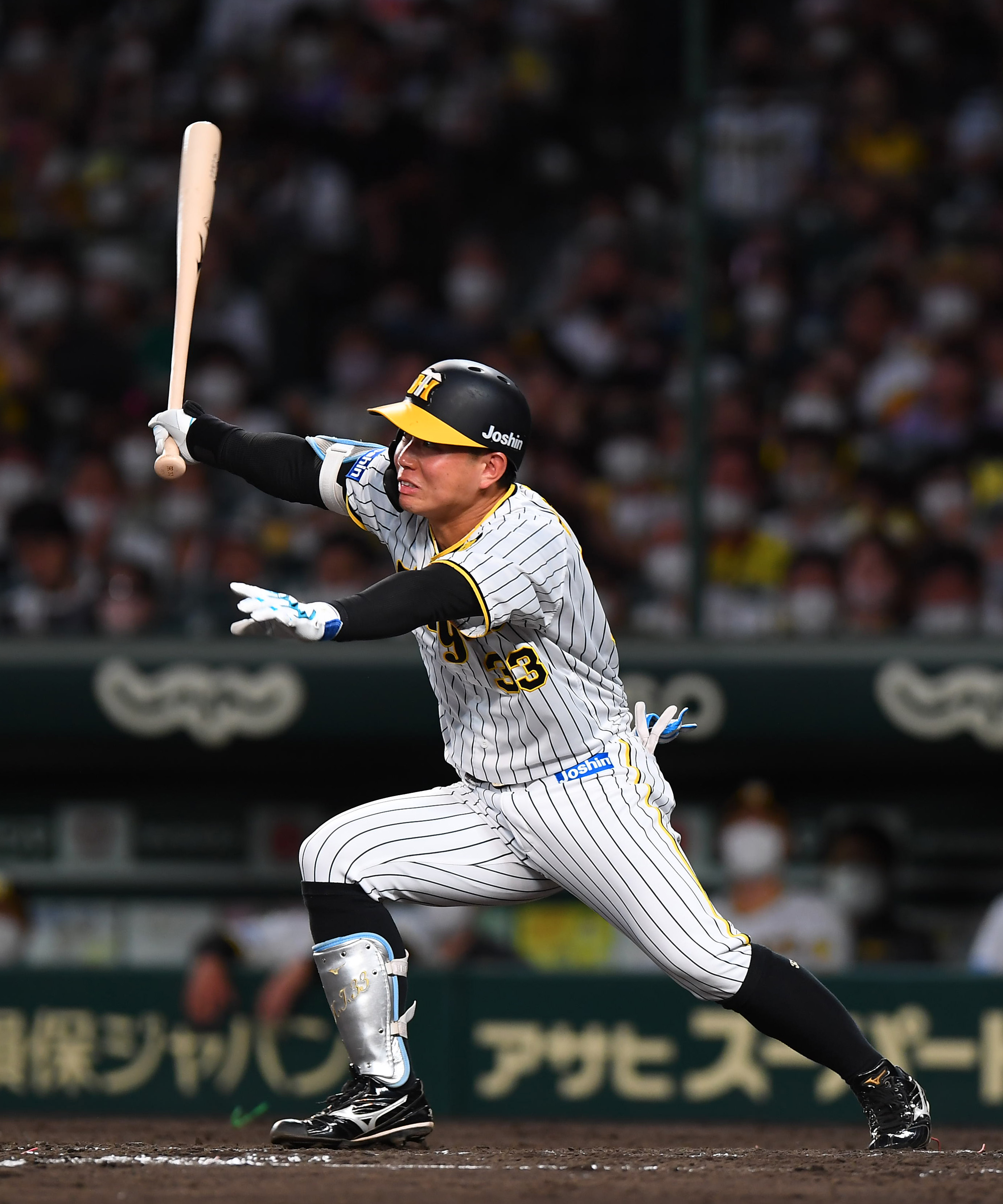 梅野隆太郎 リストバンド 梅カフェ Wsn News