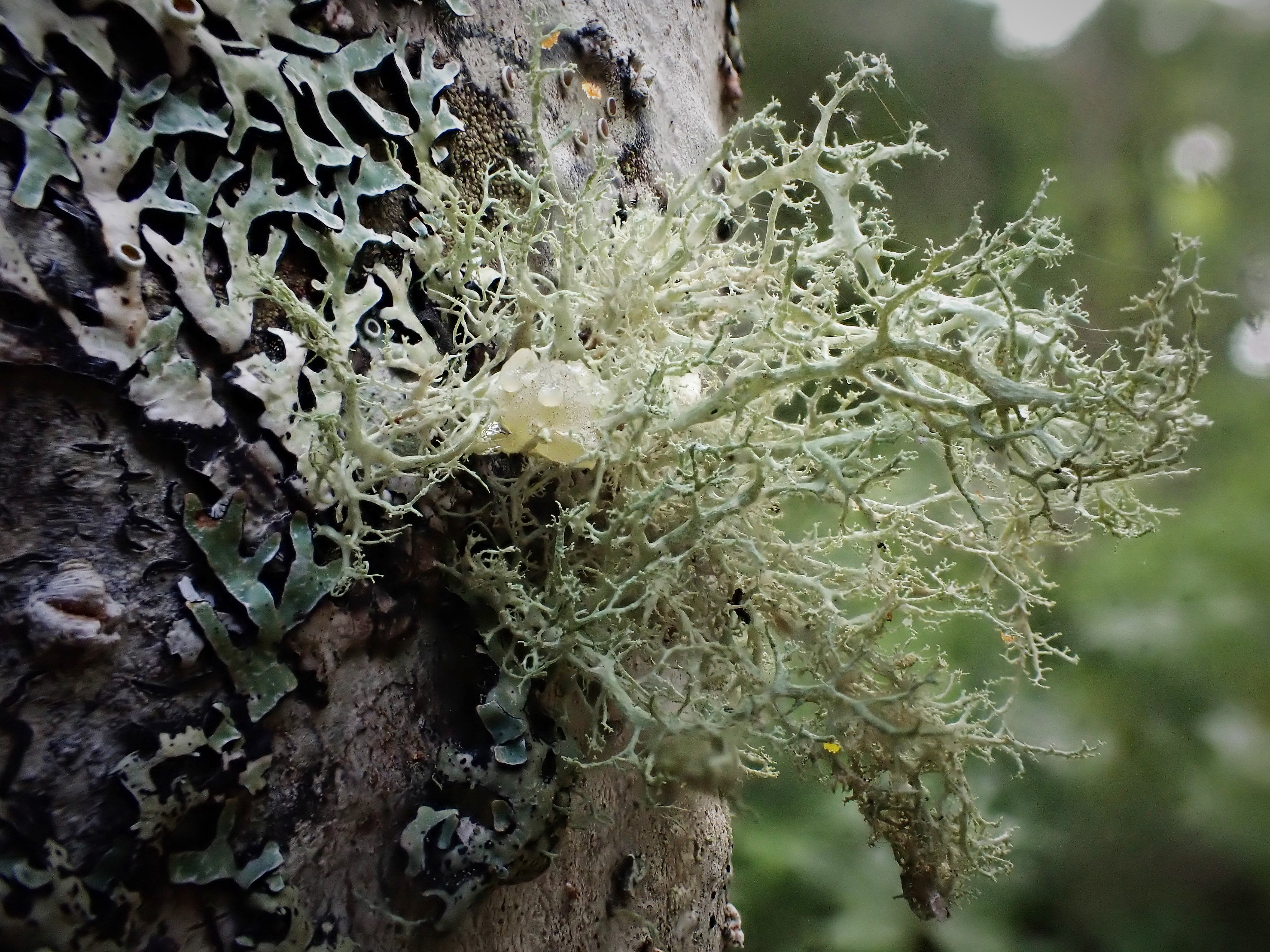 Meakandake Twitter Search Twitter