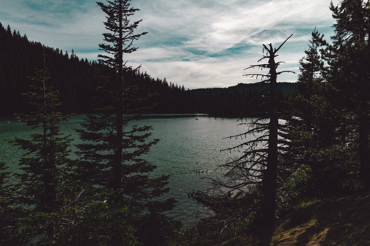 Deep moody waters. #depthsofearth #bealpha #roamtheplanet #greatnorthcollective #stayandwander #pnwlife #pnw #pnwcollective #moodygrams #greatnorthcollective #stayandwander #modernoutdoors #forest