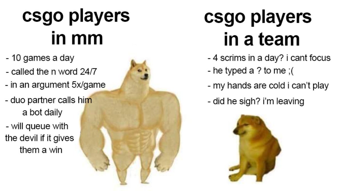 voo "cs2” csgo tweet media