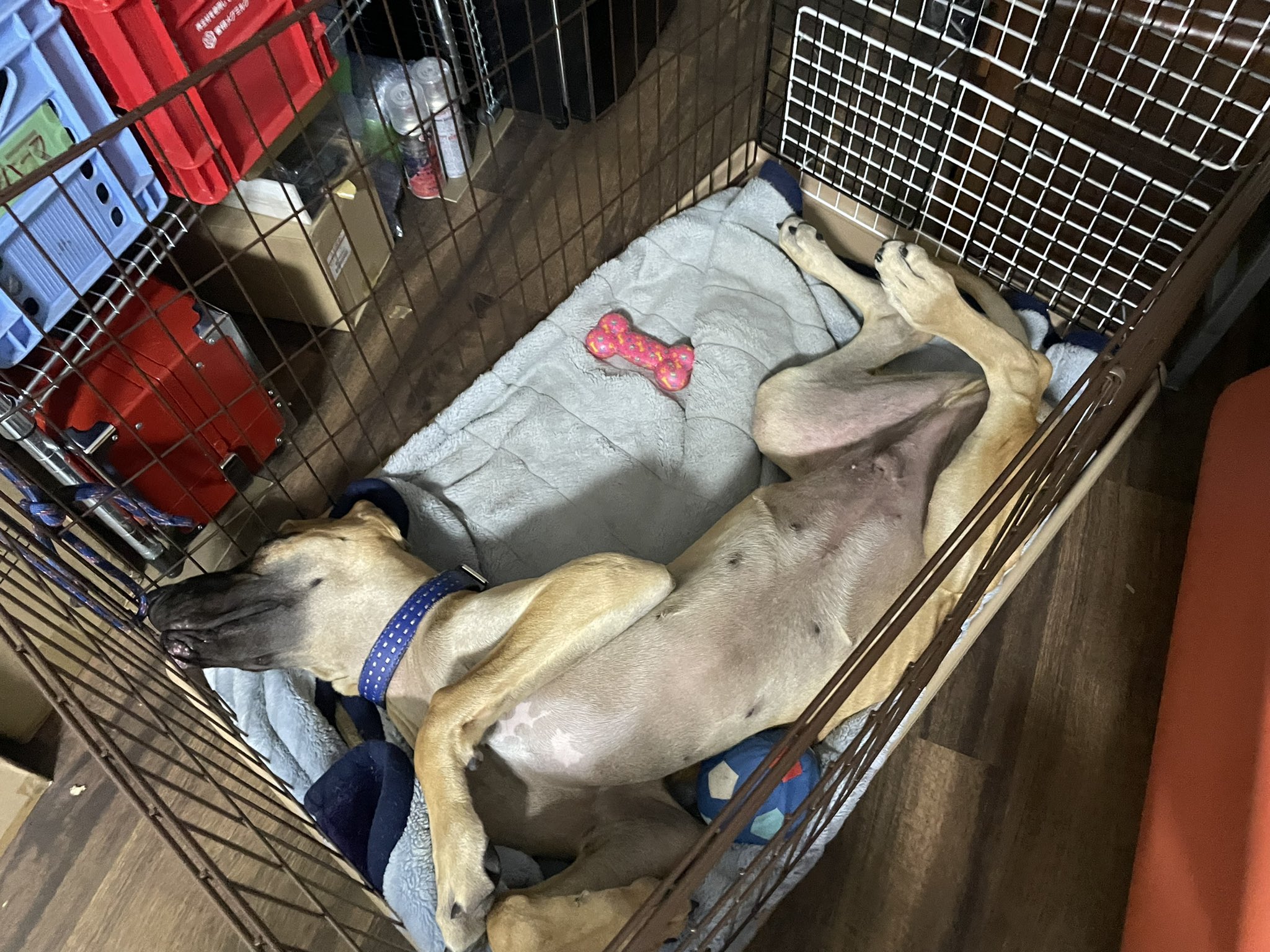 えみお Sasaki0328s Twitter