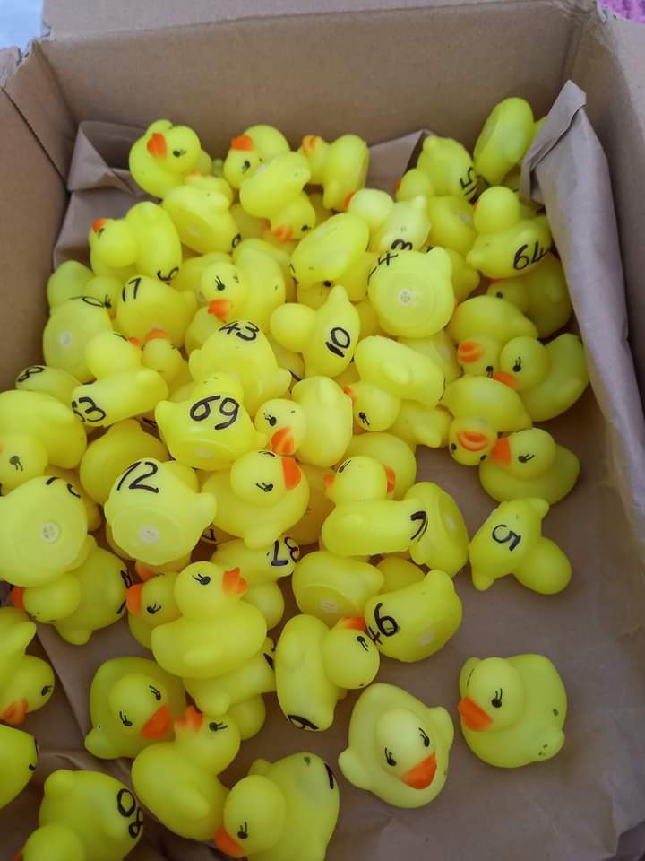 JOHNSTOWN LADIES DUCK RACE,
NUMBERED DUCKS NOW ON SALE 🦆😃
Sunday 21st August 2022
2:00 pm...Tawelan Brook in Johnstown
£5 per Duck = cash prizes,
Ducks are numbered 1-100
If all ducks are sold 
Prizes will be 
1st £100
2nd £50
3rd £25
4th £15
5th £10
If more ducks sold, more 💰