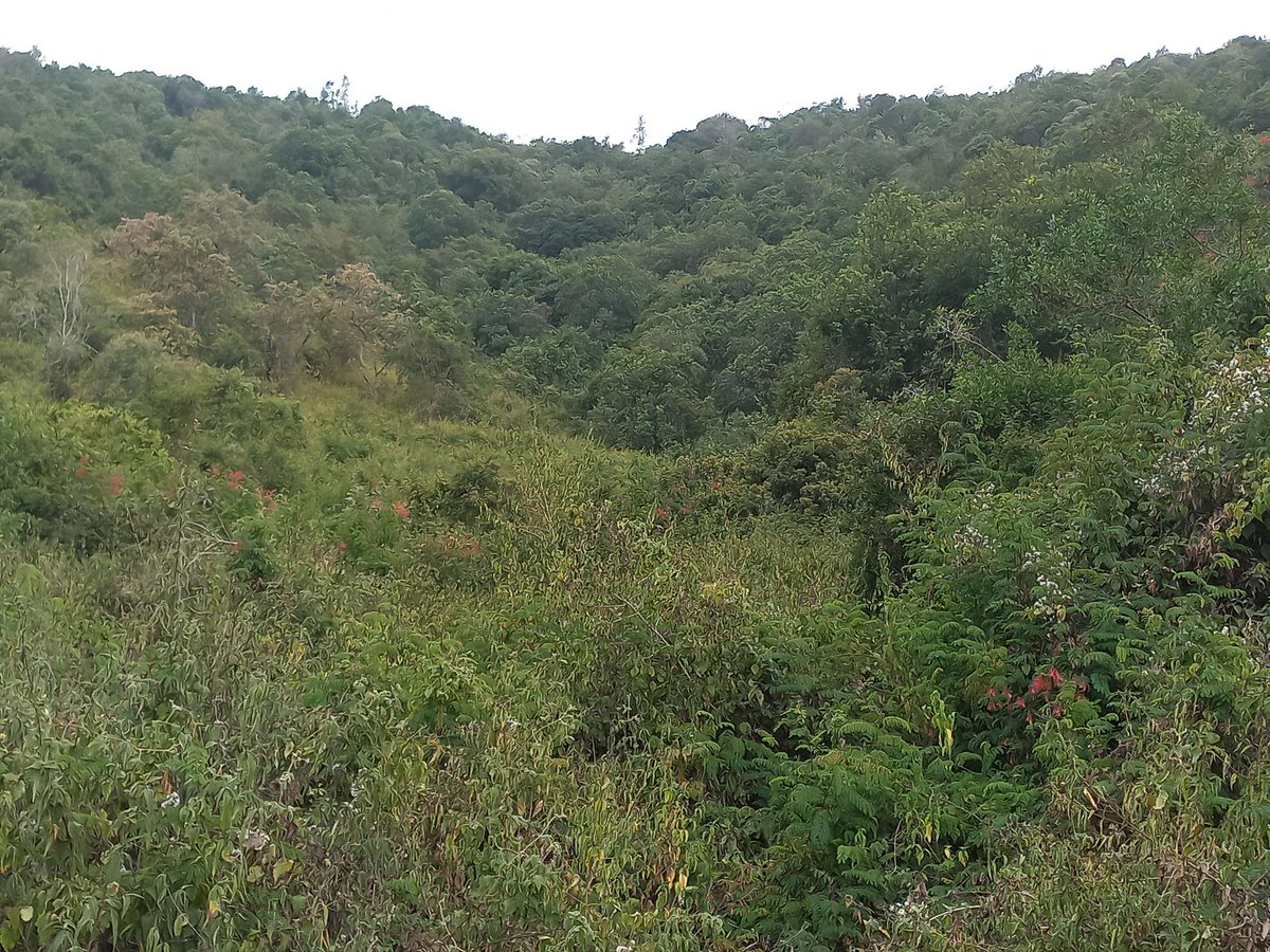 Andrew Njiraini tweet media