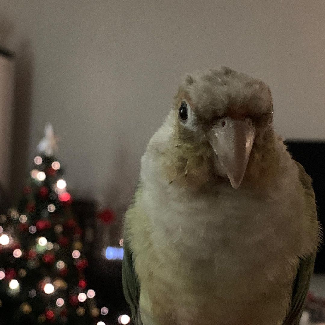 mic3344 (@mihh6787) on Twitter photo 