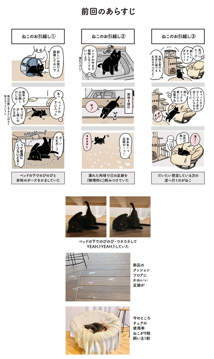 ねこと一緒にお引越ししたときの絵日記〜つづき〜 #ろんの絵日記 