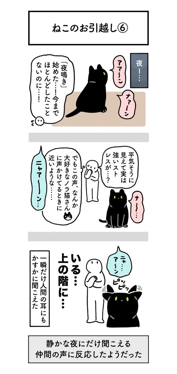 ねこと一緒にお引越ししたときの絵日記〜つづき〜 #ろんの絵日記 