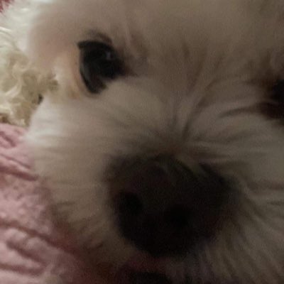 dyor_0's tweet photo. #새프로필사진 https://t.co/t125auRtwh