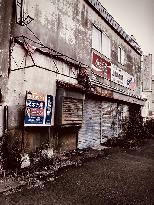 今日撮った写真 