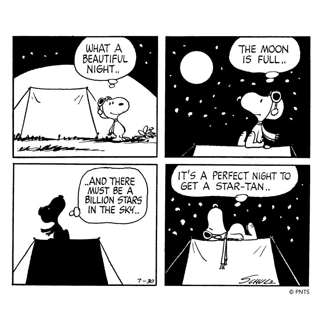 SchulzMuseum's tweet photo. This Peanuts comic strip was first published #OTD in 1971. https://t.co/lt6j9QCXeI