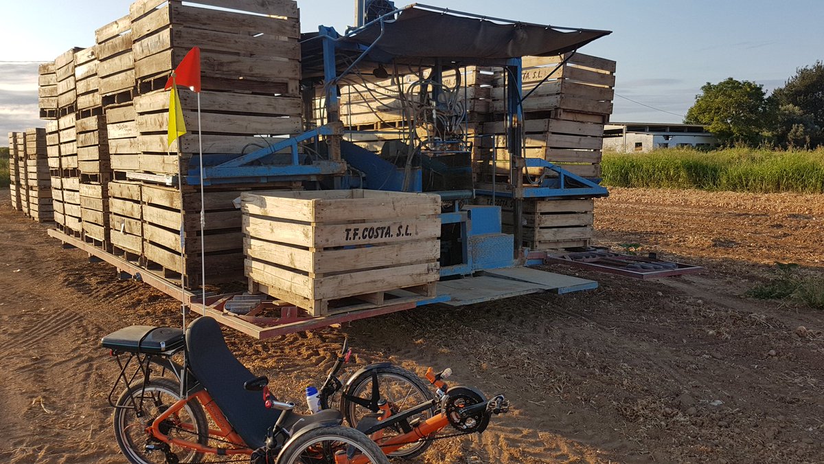 froilancan's tweet photo. Onion Harvesting machine #Alcarras #recumbent #trike #RecumbentTrike https://t.co/3n3D5tkcpR