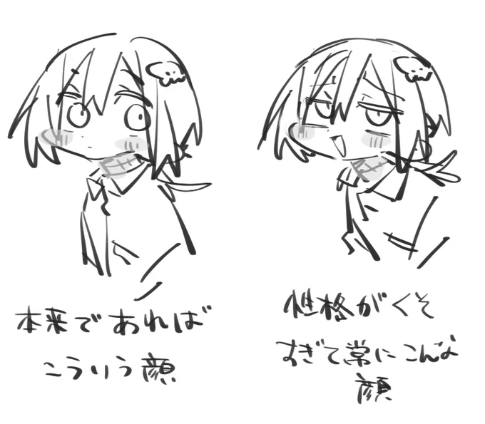 顔の知見 