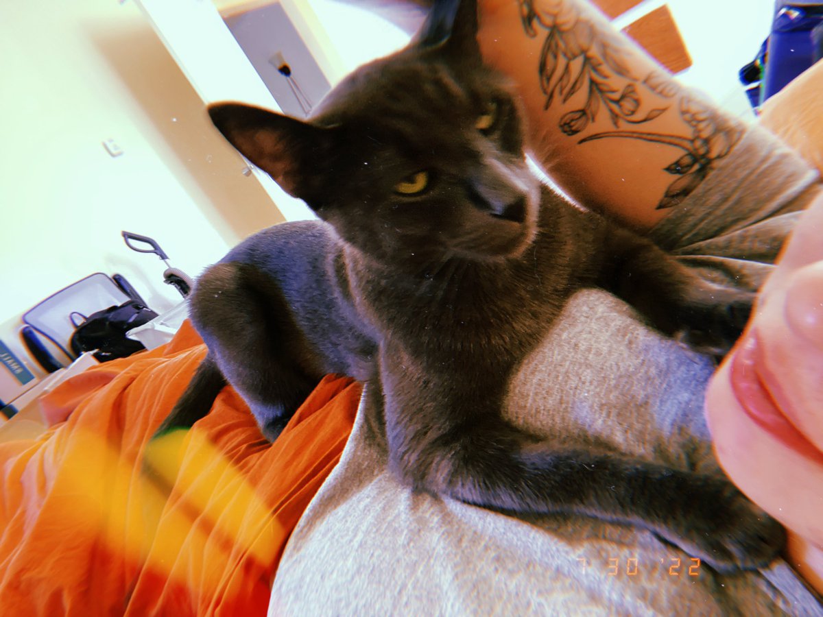 shmaddeeee's tweet photo. Gotta soak up all the bastard love because once we move he won’t want to be around me for a month :(( https://t.co/v6C97xLDi5