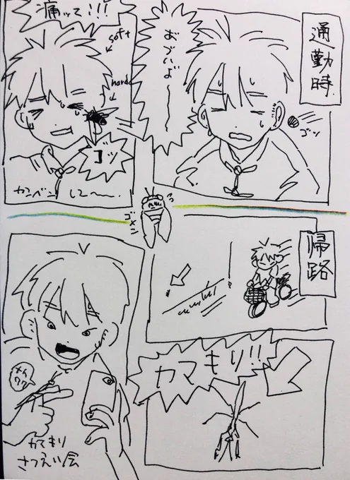 どうでもE話ばっかなんだけどあさイチ蝉ビンタくらったし帰りはトボトボ帰ってたのに遠目にカマキリ見つけてワクワクしてチャリ止めて撮影会始めちゃった社畜 〜令和四年の夏〜 