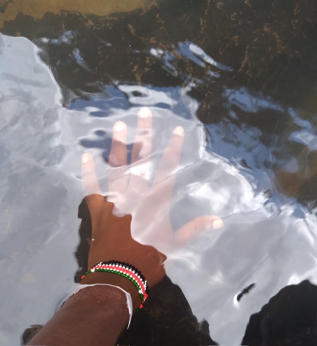 patric_githaiga's tweet photo. Today we hiked for a good cause with @WWF_Kenya #PandaTrek https://t.co/lJgcD2SyGV