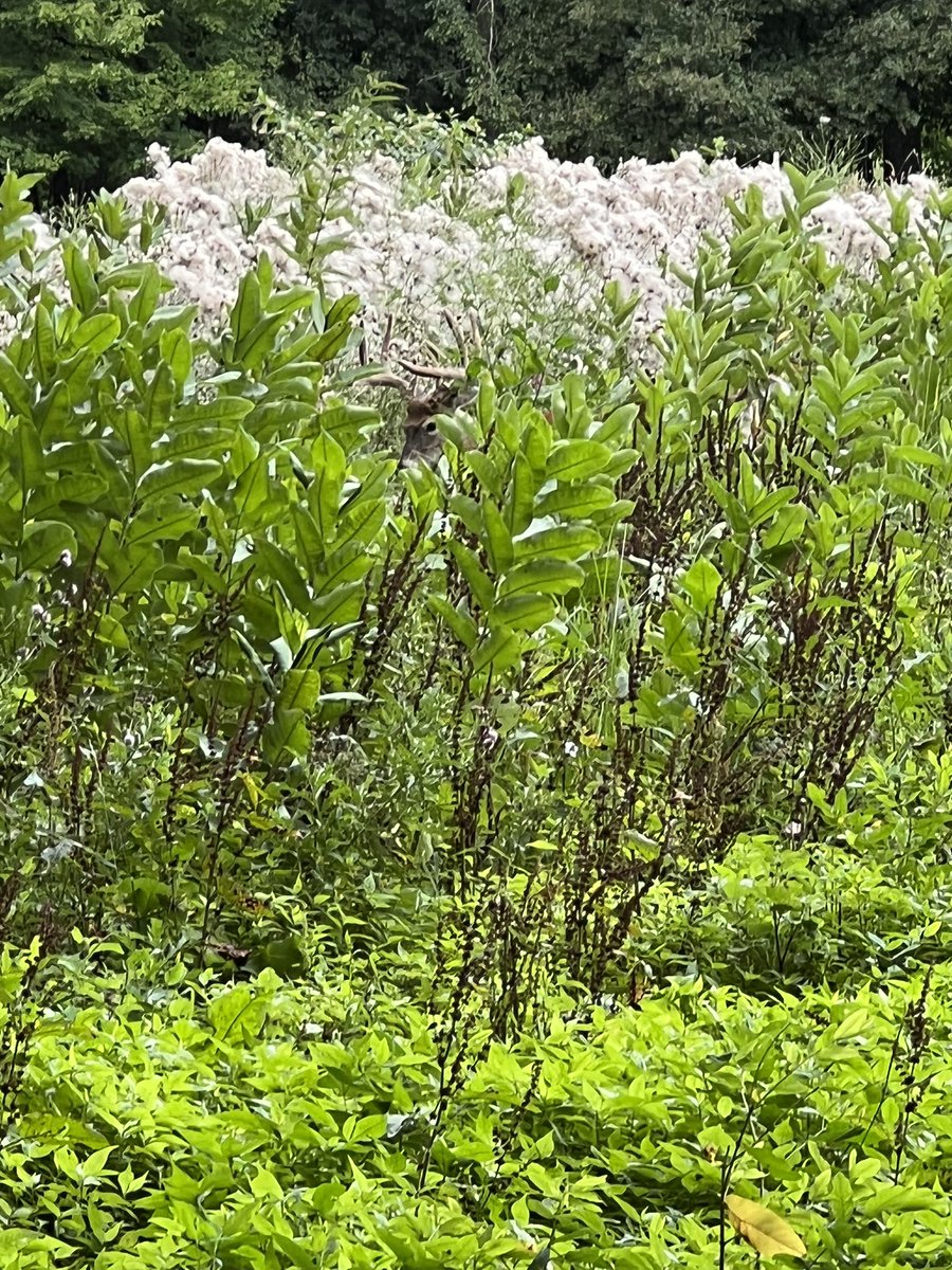 Paul_KMEOutdoors tweet media