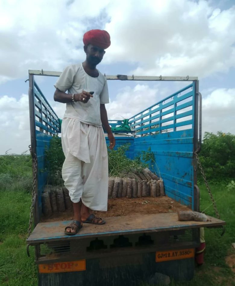 We have planted more than 9,000 saplings at our plantation site in Badgaon (district Jalore) in #Rajasthan.
Watering the saplings throughout the year, 2x a week, is the biggest challenge we face while working in Rajasthan. Only after 3 years of care is a #tree sapling independent