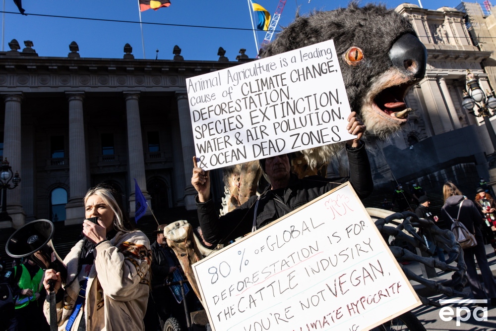 Environmental activists protest in front of Parliament House of Victoria in Melbourne, Australia, 30 July 2022. The protesters demand an end to fossil fuels. 📷️ epa / AAP / Diego Fedele

#Australia #fossilfuels #protest #epaimages