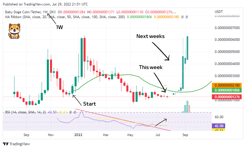 DogefanBaby's tweet photo. #BabyDogeCoin #BabyDoge 🚀🚀🚀👏👏😍
Buy now or cry later !!!! https://t.co/13TJrMfeLK