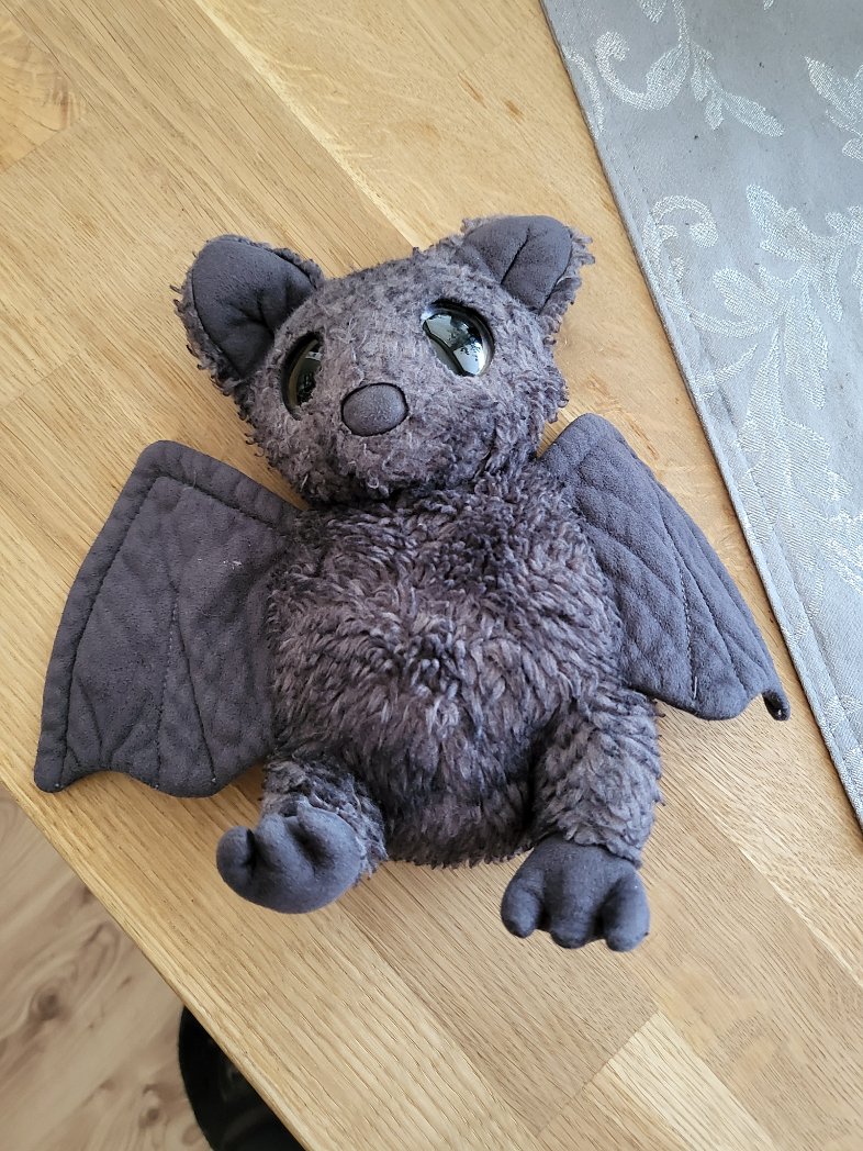 Hallo #Followerpower
Ich habe da heute etwas im ICE 728 nach Essen in Bonn gefunden. Wer es vermisst bitte melden, bevor ich dem kleinen Stinker ein neues Zuhause geben muss...