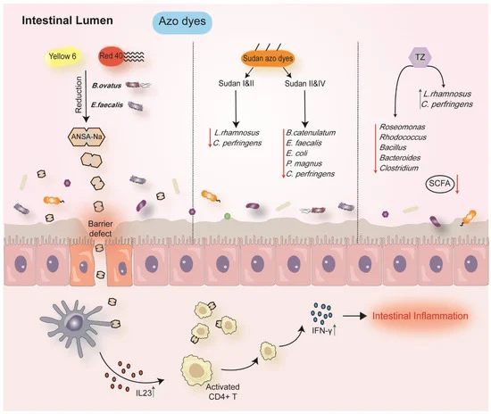 John Damianos, M.D. tweet media