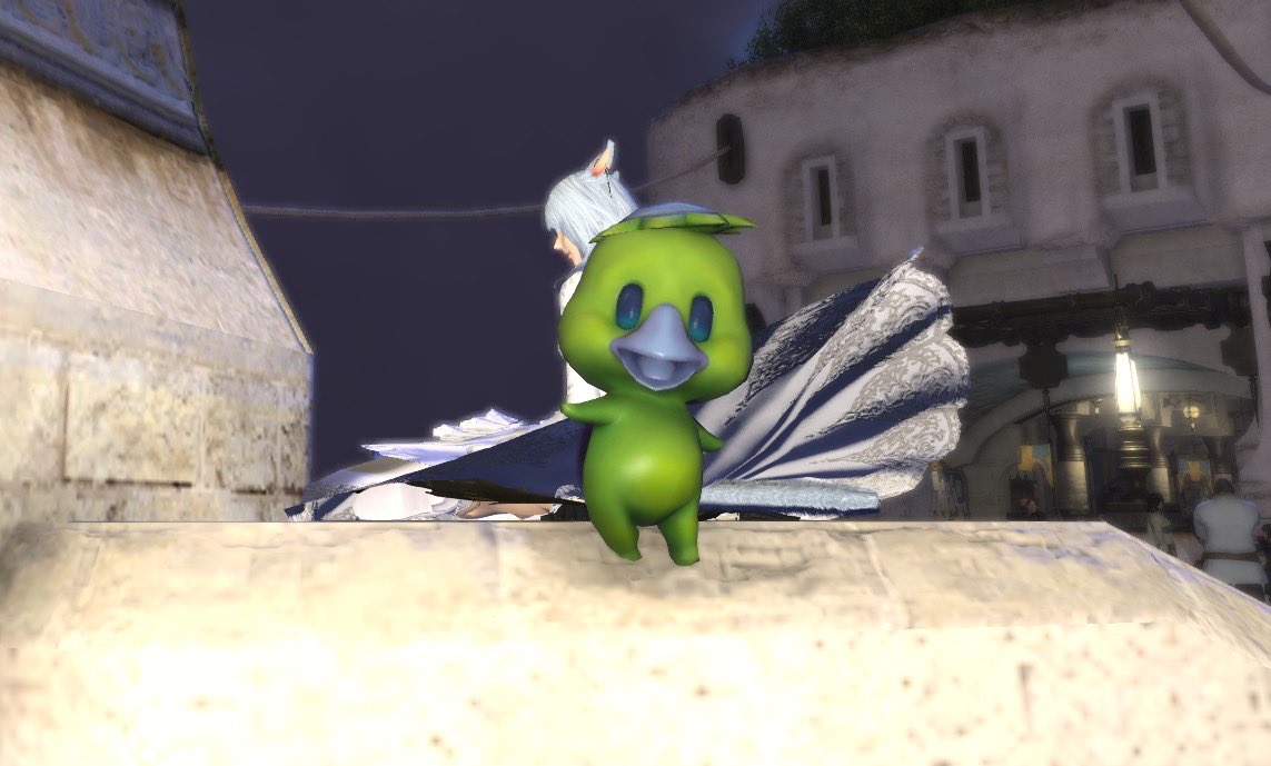 emimosan1's tweet photo. なんか #FF14 がトレンド入りしてるから、便乗してSSを、、、

どや！！この可愛いカッパッパ😍
最高に可愛いでしょーーー😍❤️💕

#FF14SS #FF14フレンド募集 #ManaDC https://t.co/pOBxgnf3it