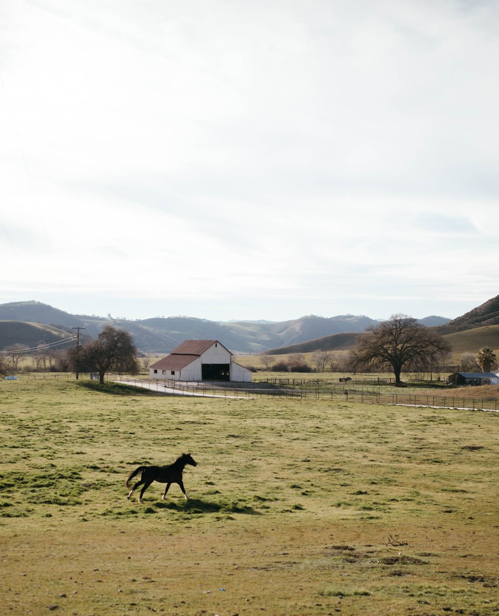 barszranch's tweet image. "Tim &amp;amp; Michelle Borland have always been welcoming to me and my family when we come to visit Scooter."

Interested in boarding your horse with us?
Email us at boarding@barszranch.com or click the link for more info and to schedule a meeting with our staff: barszranch.com/horse-boarding…