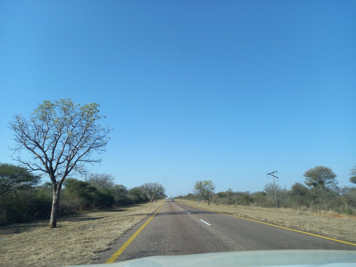 Esmari_1's tweet image. #Bosveld - #Ellisras