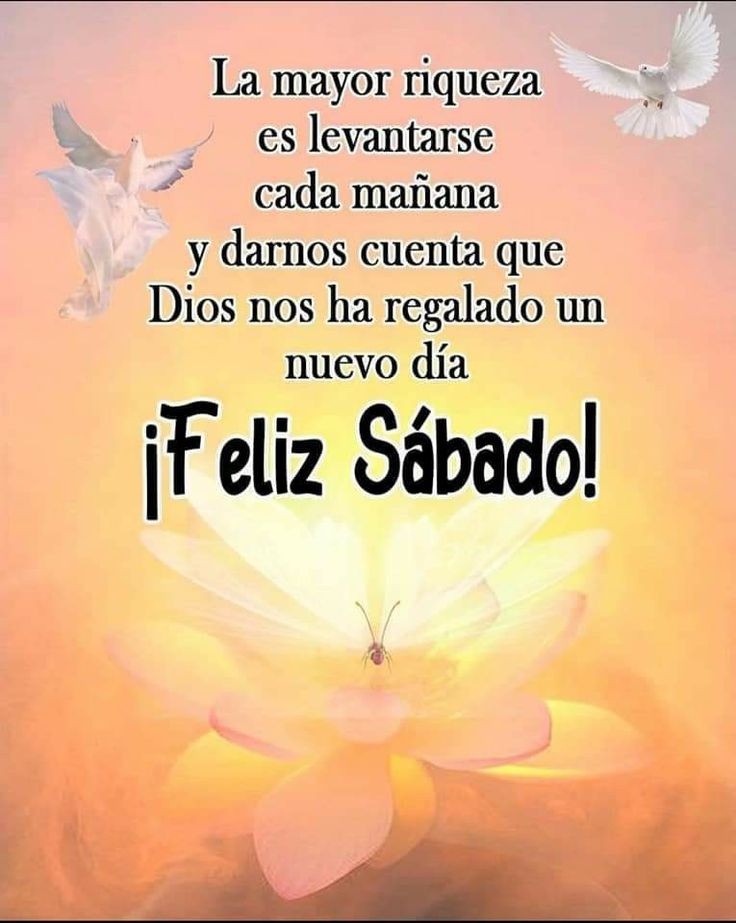 ♛𝓐𝓵𝓮𝓳𝓪𝓷𝓭𝓻𝓪❦ on Twitter: ♛𝓐𝓵𝓮𝓳𝓪𝓷𝓭𝓻𝓪❦ on Twitter: