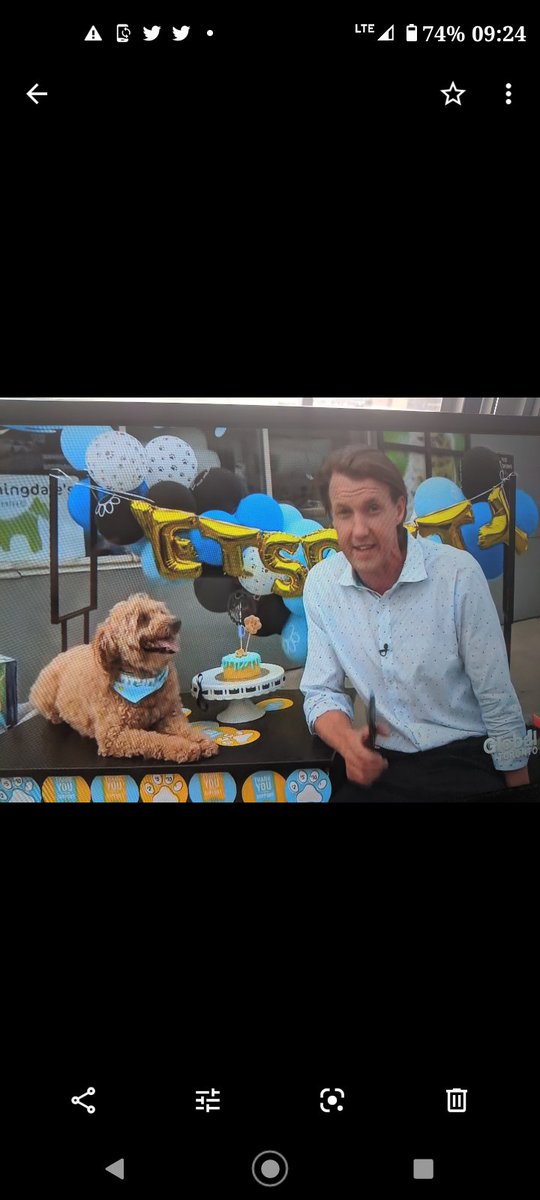 Michael Kane 'Reporter' tweet media