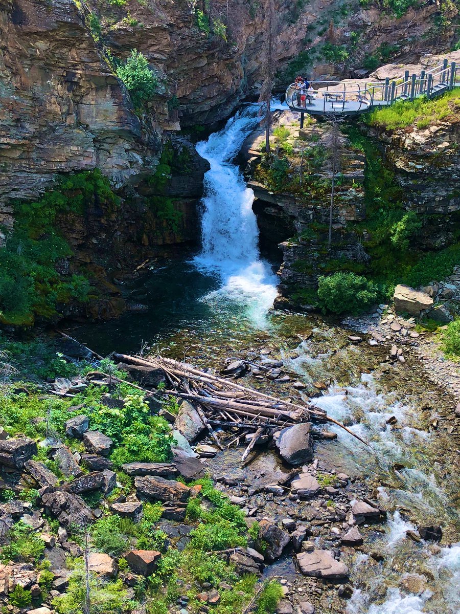 Bonnie K. tweet media