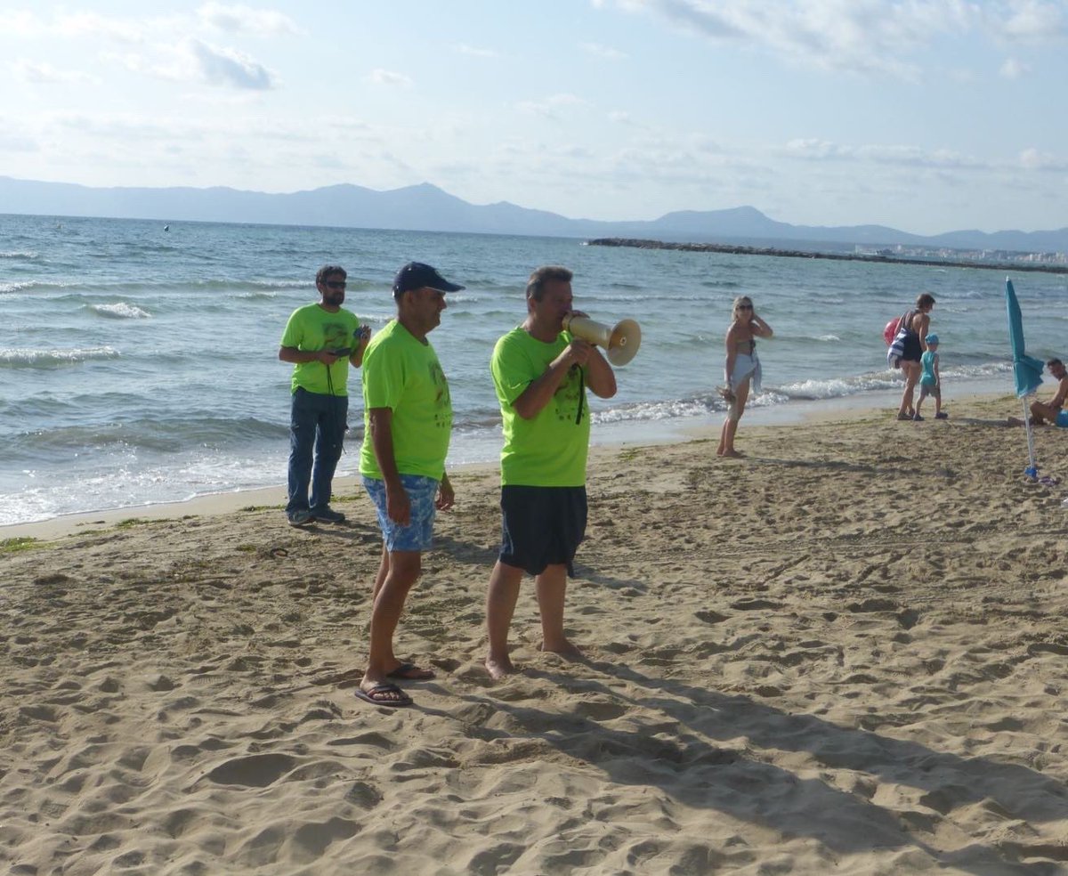 Ajuntament de Muro tweet media