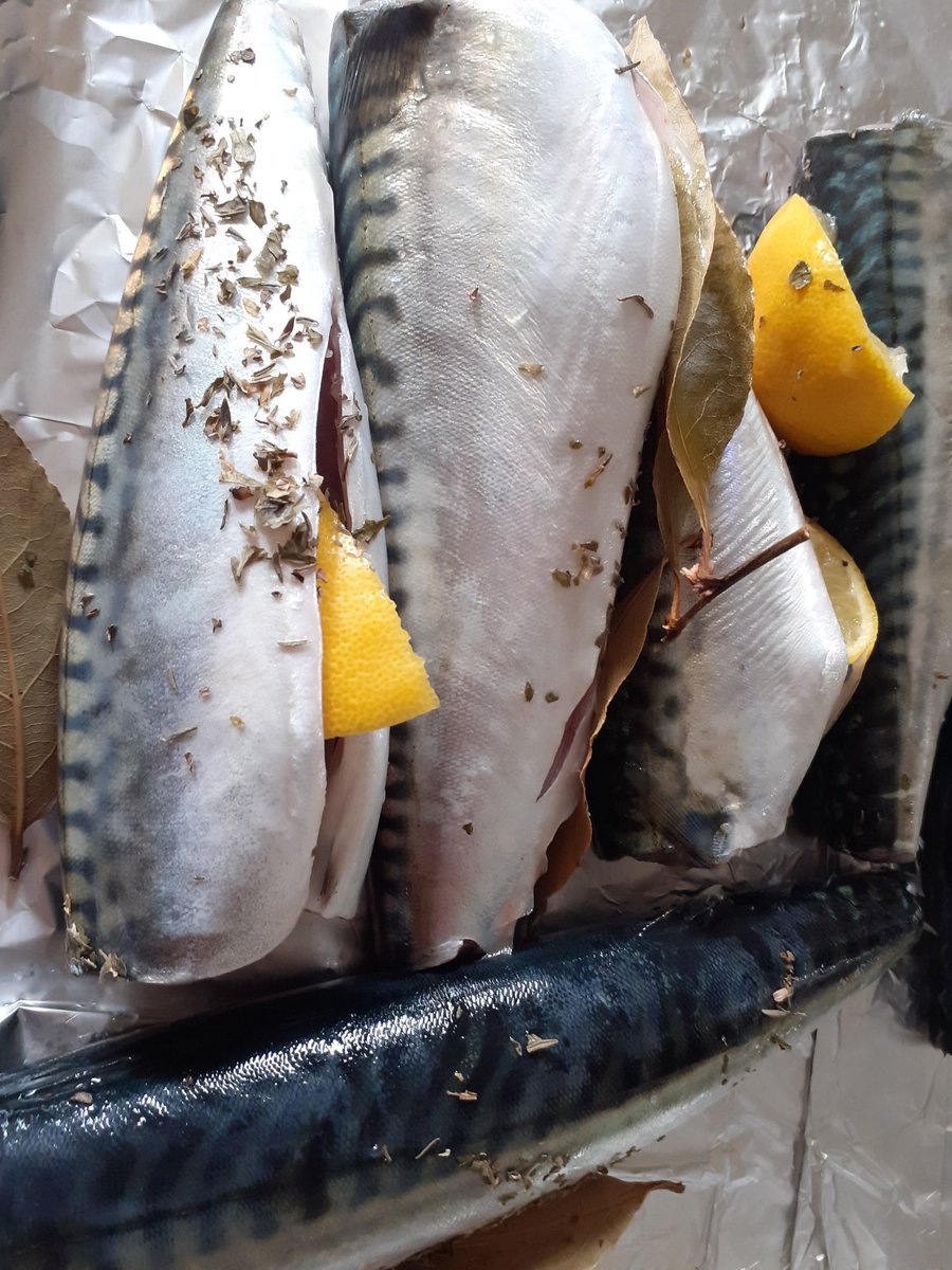BannMaiden's tweet photo. Dinner! Mackerel straight from the Kyles of Bute into my oven..fresh or what?! #superfood #scottishfish #HealthyFood #argyll https://t.co/p0vaYBu3V9