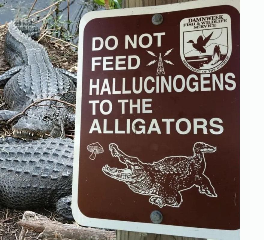 GatorsDaily's tweet photo. ITS NOT ALLOWED https://t.co/1GWxesBOUP