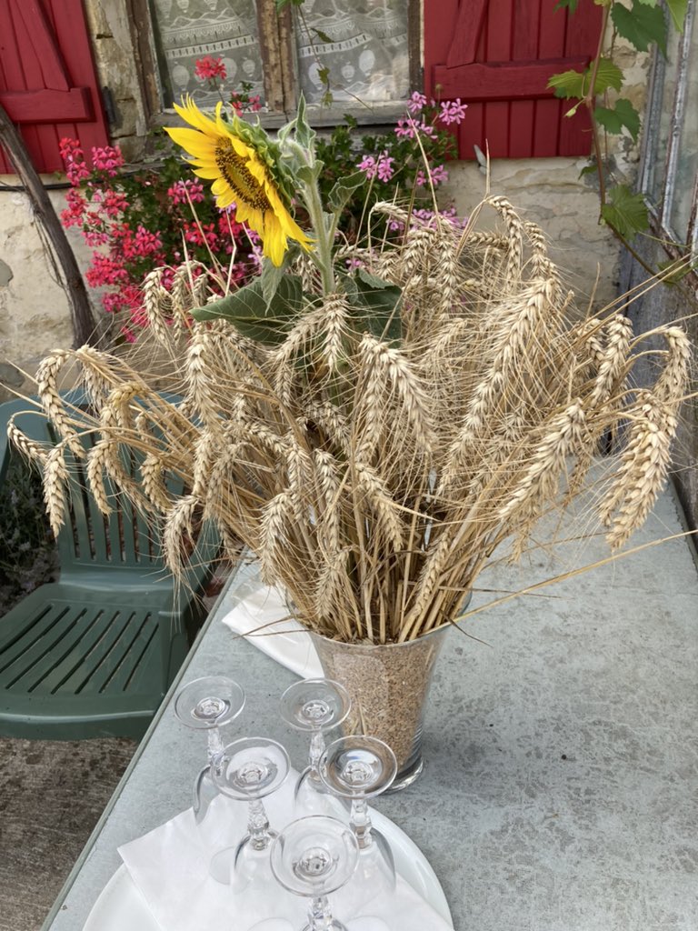 OlivierCOSTE2's tweet photo. On avait pas pris encore le temps de faire notre #ChienDeMoisson,pour la #Moisson2022🌾🥂.
Nos #Agricultures #Tonnerrois et @sbneveux connaissent.
Nous dégusterons @BONNIN1402 une spécialité @Patrim_tonnerre, 
en forme d’un fromage 🧀 du @AubeDepartement et son célèbre #Chaource. https://t.co/l7YB1ivBja