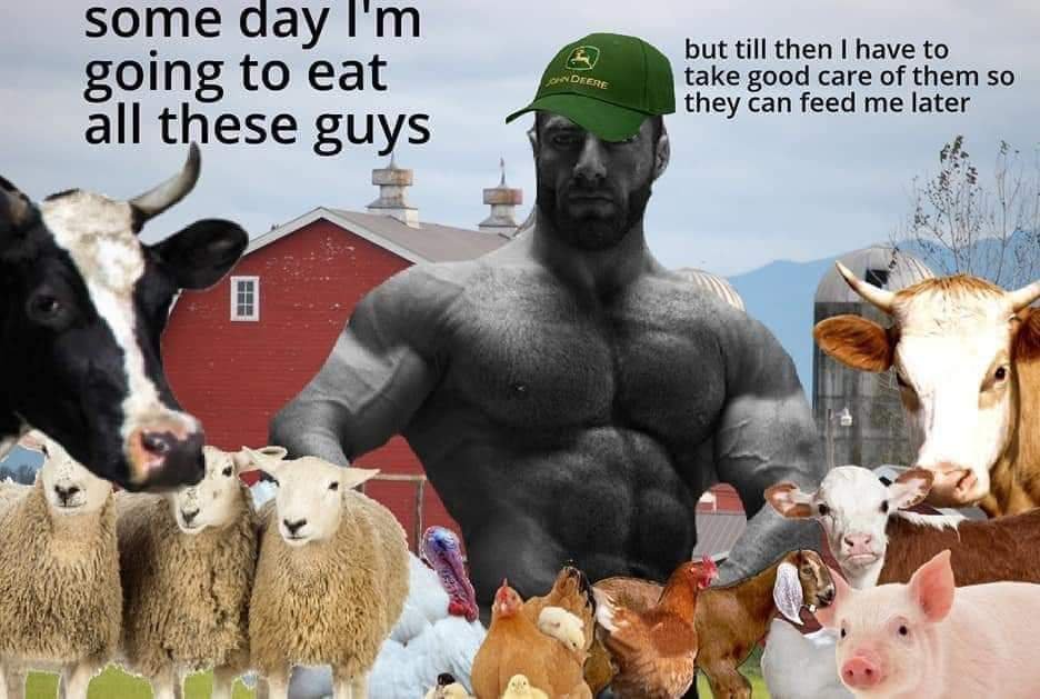 Carnivore Aurelius ©🥩 ☀️🦙 tweet media