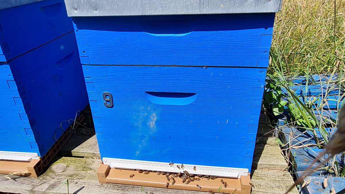 BPontroue's tweet photo. Nos abeilles 🐝 O3agri  nous réclament un jour de repos. Comme en bénéficient les équipes chez @O3Contact elles souhaitent travailler 32 heures sur 4 jours... elles ont produit plus d ' 1 tonne de miel cette année... à votre avis on leur accorde ? @EcoTree_contact https://t.co/j7jcMXsdCR