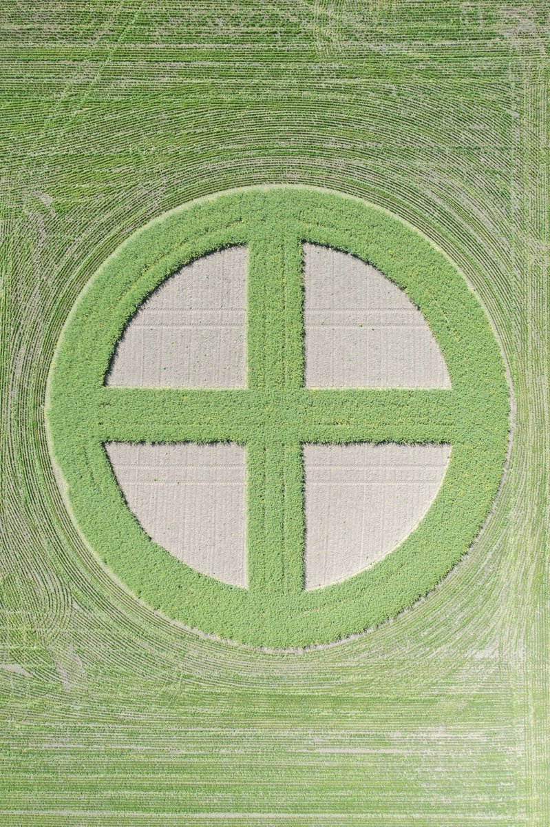 Had the chance to do a photoshoot of our <a href="/Bayer4CropsCA/">Crop Science Canada</a> Saskatoon Research Farm yesterday. Amazing work that goes into showcasing the awesome innovations &amp; research happening in order to set up our customers and industry for the best success possible!
<a href="/DEKALB_Canada/">DEKALB Canada</a> #westcdnag