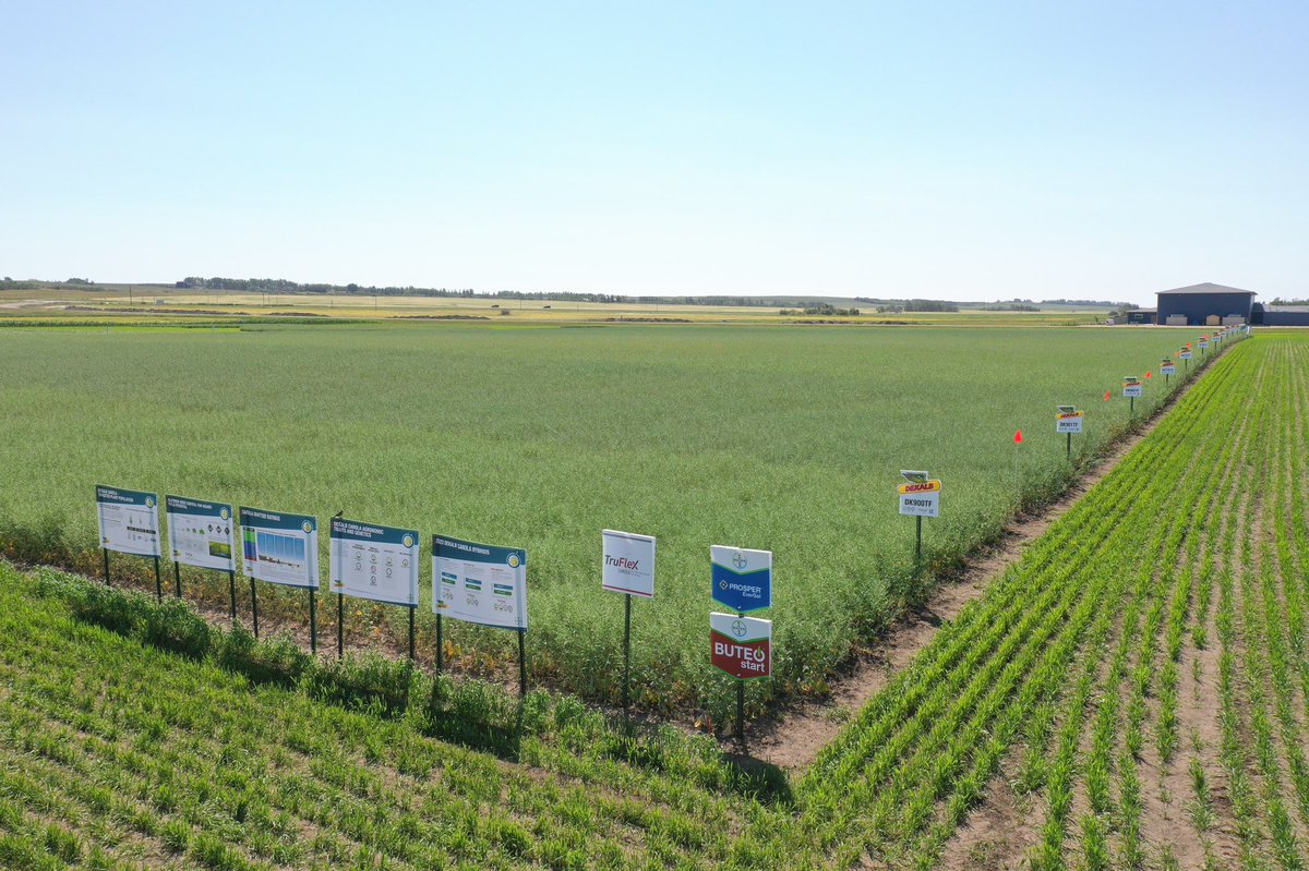 robmakowsky's tweet photo. Had the chance to do a photoshoot of our @Bayer4CropsCA Saskatoon Research Farm yesterday. Amazing work that goes into showcasing the awesome innovations &amp; research happening in order to set up our customers and industry for the best success possible!
@DEKALB_Canada #westcdnag https://t.co/LXgRjVn7eB