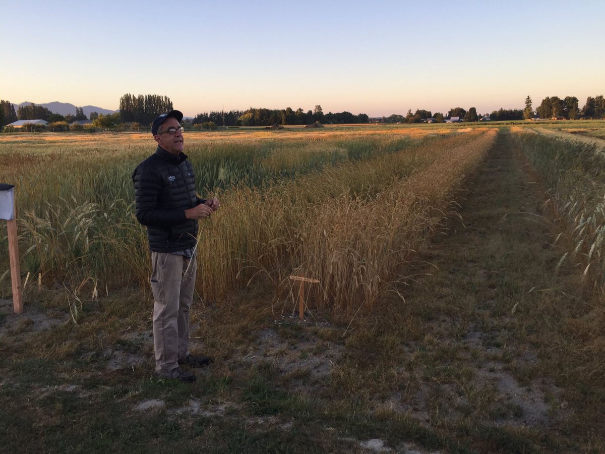 ReadersToEaters's tweet image. Wonderful 2look back 2researching #BreadLab @ #WSUBreadlab getting sunrise wheat field tour from dir DrStephenJones 5yrs ago. New Paperback edition is here! bit.ly/2vISBfa #Bread #WholeWheat #WholeGrain #Baking #FoodLiteracy #FoodScience #Fermentation #STEM #FarmToSchool