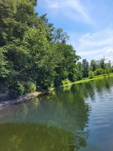 BattenkillVO's tweet photo. Come to Battenkill Valley Outdoors to enjoy amazing views of the Battenkill!

Join us for an adventure! Give us a call to reserve today!
518 677-3311

#BattenkillValleyOutdoors #BattenkillValley #Kayak #Kayaking #nature #kayakingadventures #adventure #fishing #kayaklife #kaya... https://t.co/qLY5QayCiq